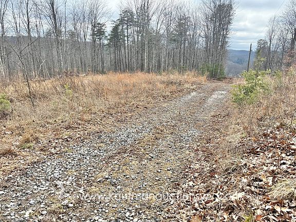 3rd image of 0 Birch Run Rd