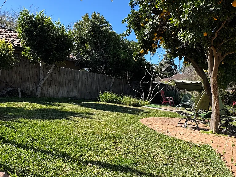 1911 Stagio Dr — Photo 19