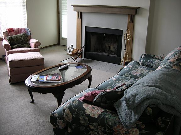 Wood burning fire place
