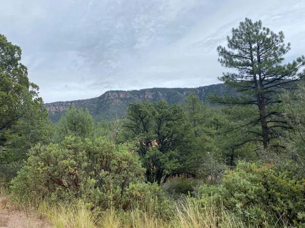 186 N Trails End Dr, Pine, AZ 85544