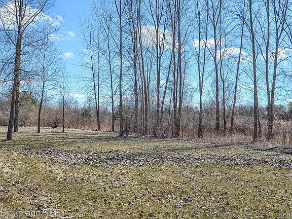 5th image of 1746 N Baldwin Rd