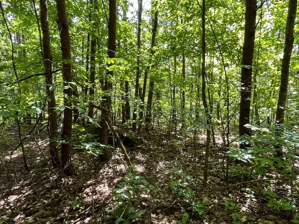 Ll 61 Bobbie Ln, Young Harris, GA 30582