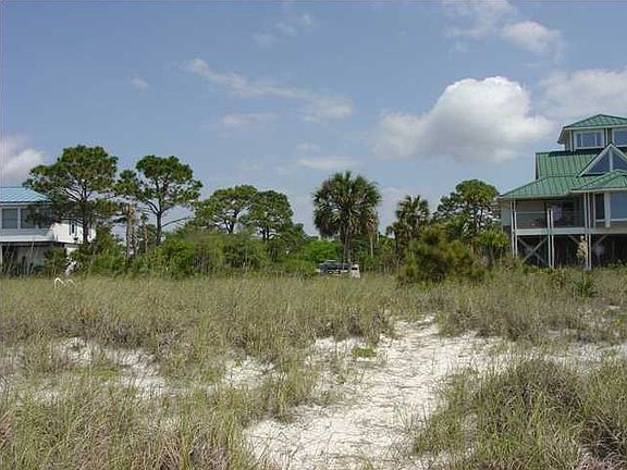 5th image of 1151 Alligator Dr