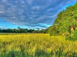 81 Egrets Pass Dr, Brunswick, GA 31523