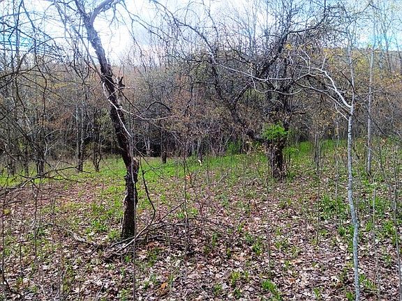 2nd image of 1122 W Hill Rd