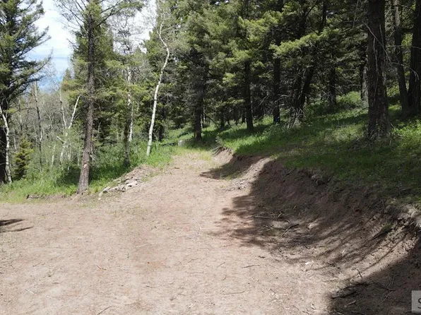 4911 Shadow Wood Ln, Island Park, ID 83429