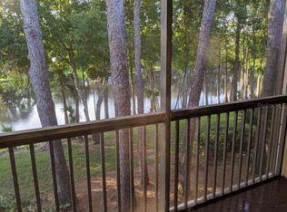 11806 Raintree Lake Ln APT C, Temple Terrace, FL 33617