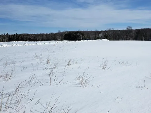 PARCEL W 638th Hwy #C, Onaway, MI 49765