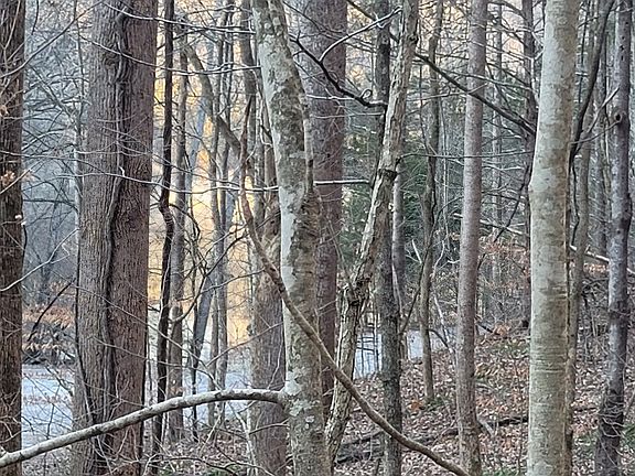 2nd image of 0 Lakeside Dr Lot 76