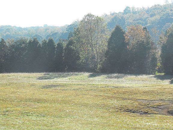 Upper Pasture