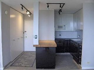 3rd image of 1455 N Sandburg Ter APT 903