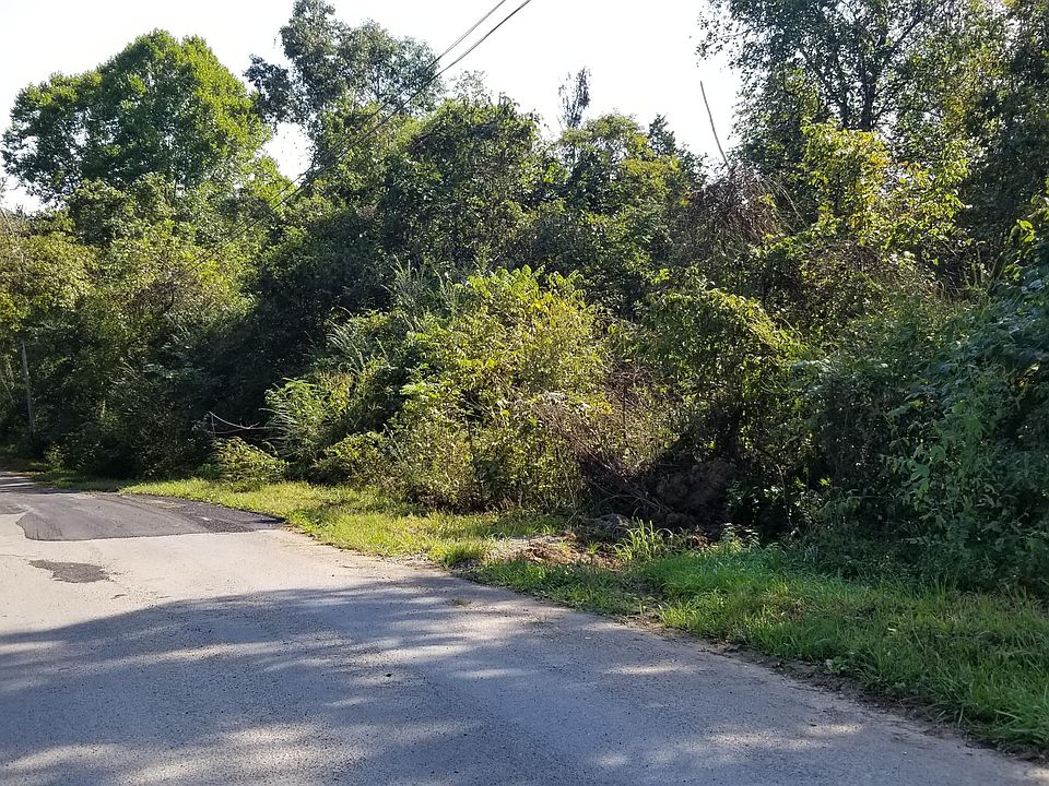 2nd image of Loop Rd