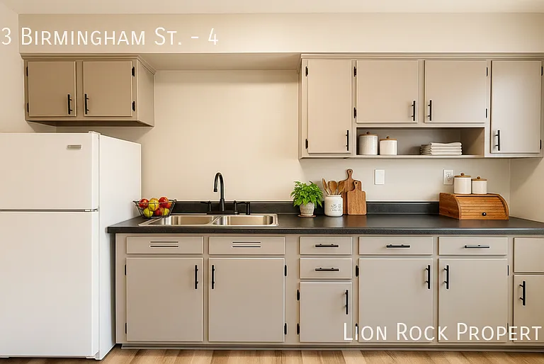 313 Birmingham St #4 — Photo 4