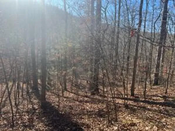 0 Smith Mount Rd #8800, Parthenon, AR 72666