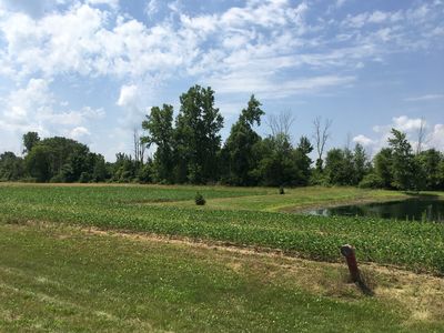 Wiegand Ln, Almont, MI, 48003