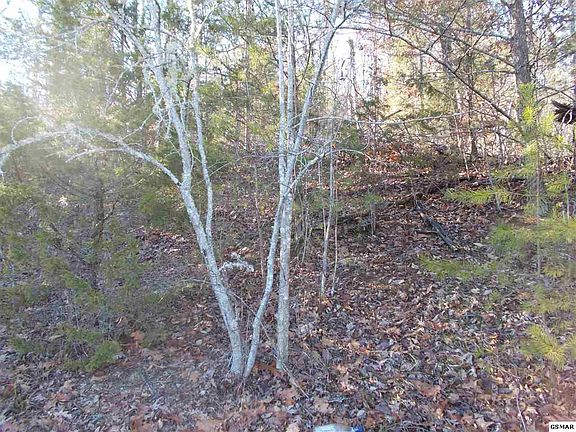 5th image of 204 Forest Court Ln