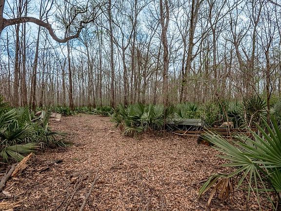 4th image of 1 Harper Branch Rd #2