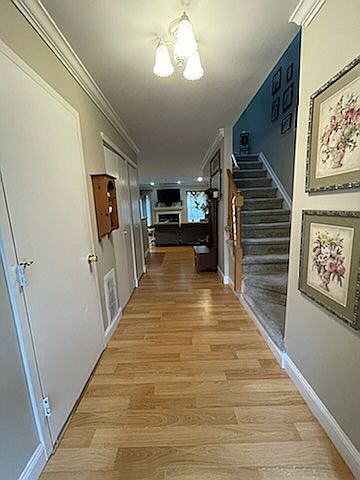 1st image of 1003 Sara Cir