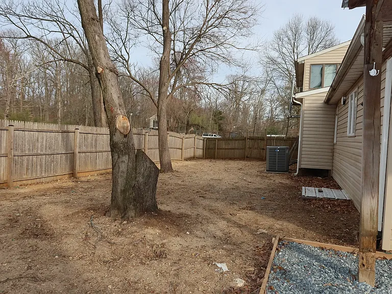 Back yard