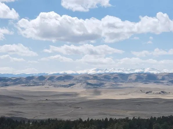 593 Osprey Rd, Como, CO 80456