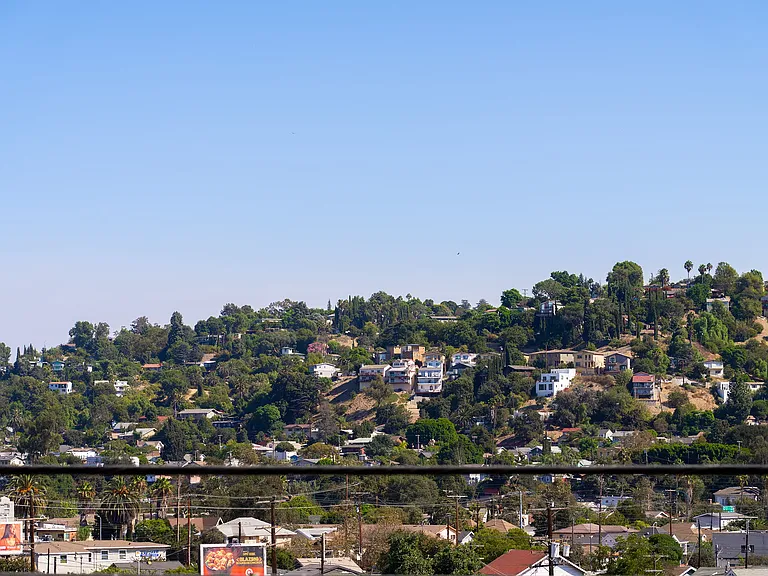 339 Isabel St — Photo 47