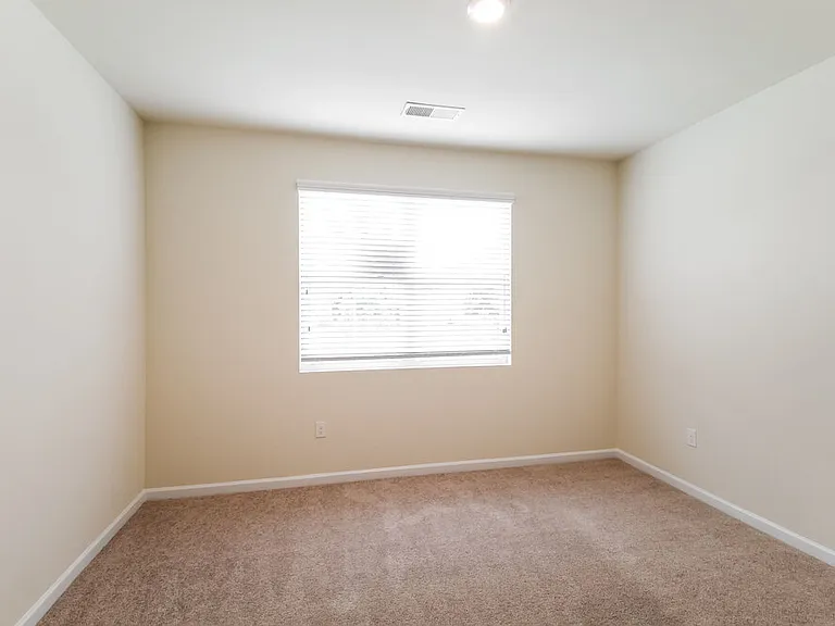 295 Hamilton Pointe Dr — Photo 17