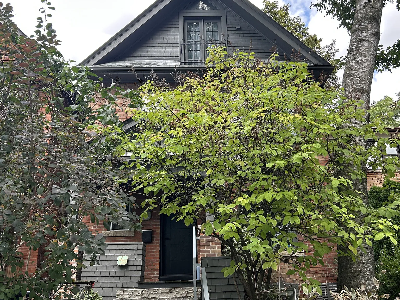 1 bed, $1,400 — Photo 1