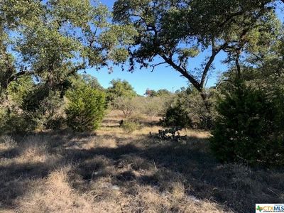 401 Arthur Ct, Spring Branch, TX, 78070