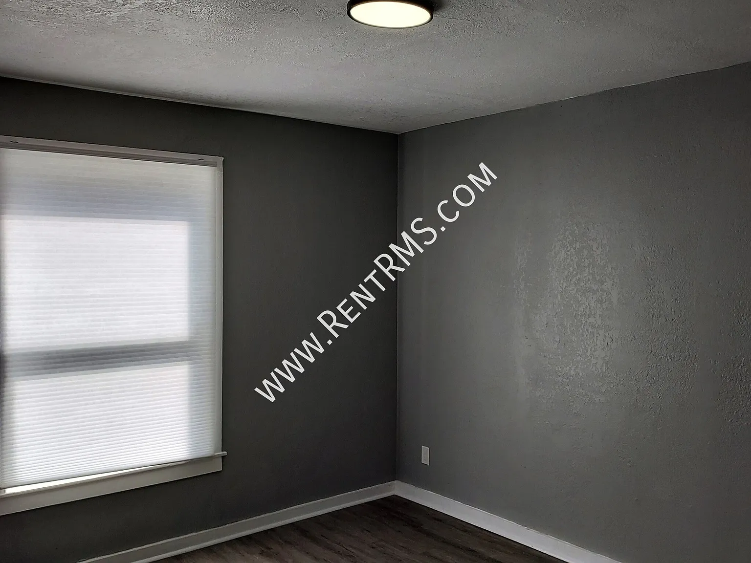 541 Ne Grattan St - 3 Bed/1.5 Bath — Photo 3