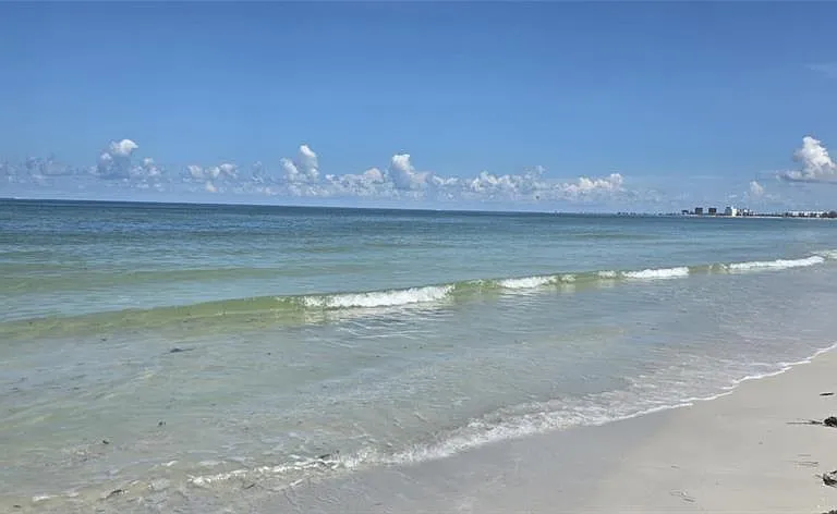 6177 Sun Blvd #401 — Photo 9