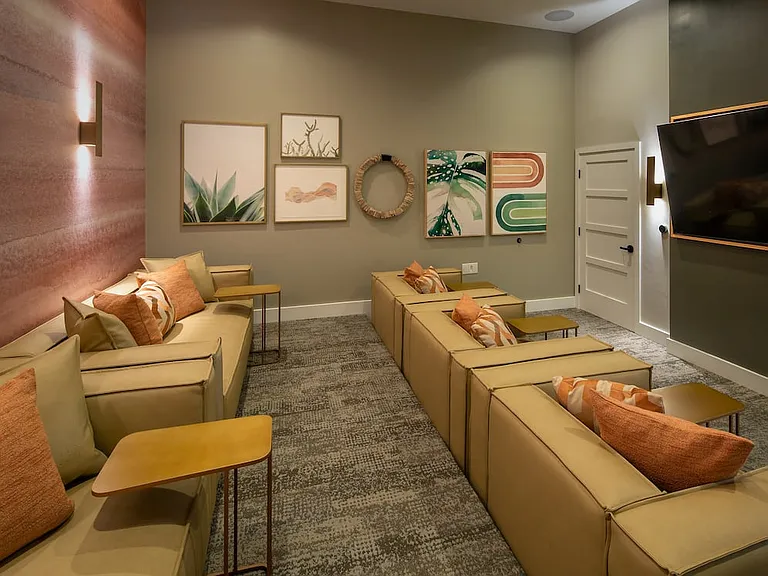 Theater room