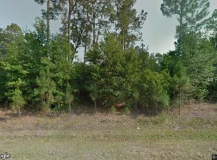 217 Spoonbill Dr, Poinciana, FL 34759