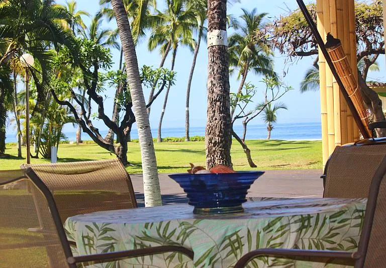 185 Pualei Dr #3 — Photo 1