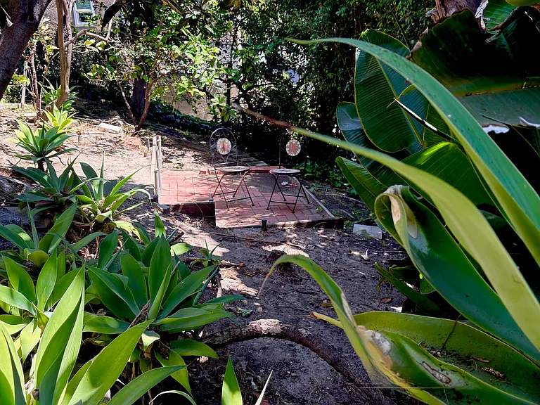 Lush hillside garden featuring mature fruit trees.