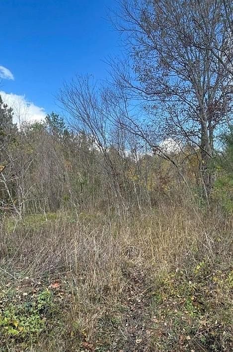 1st image of Casey Rd