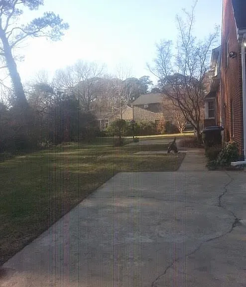5135 Lake Shores Rd — Photo 12