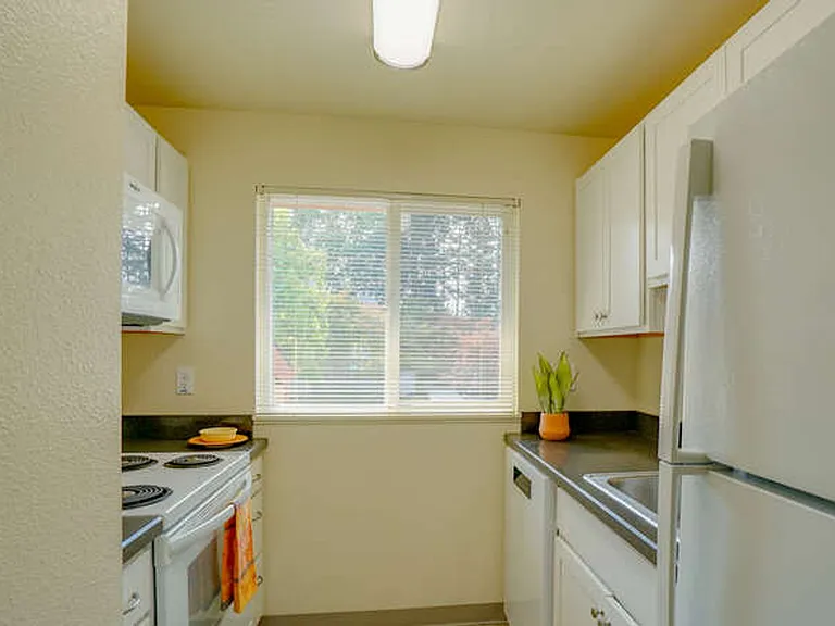 Sussex Village Apartments — Photo 33
