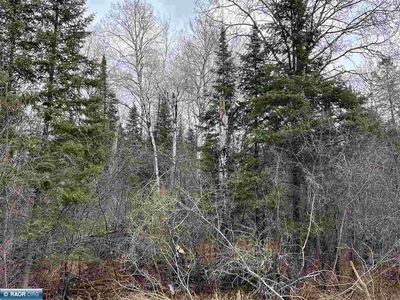 Butler Road Mt, Iron, MN, 55751