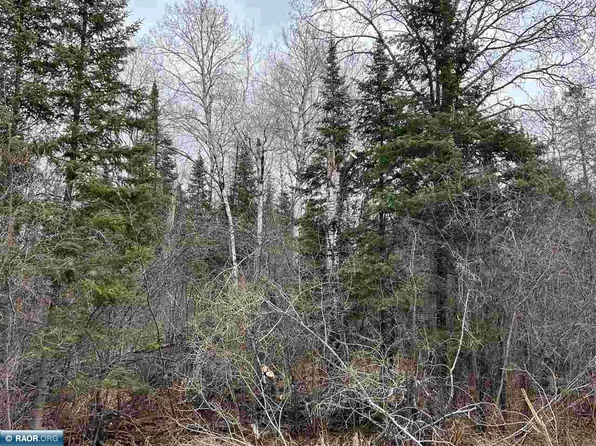 Butler Road Mt, Iron, MN 55751