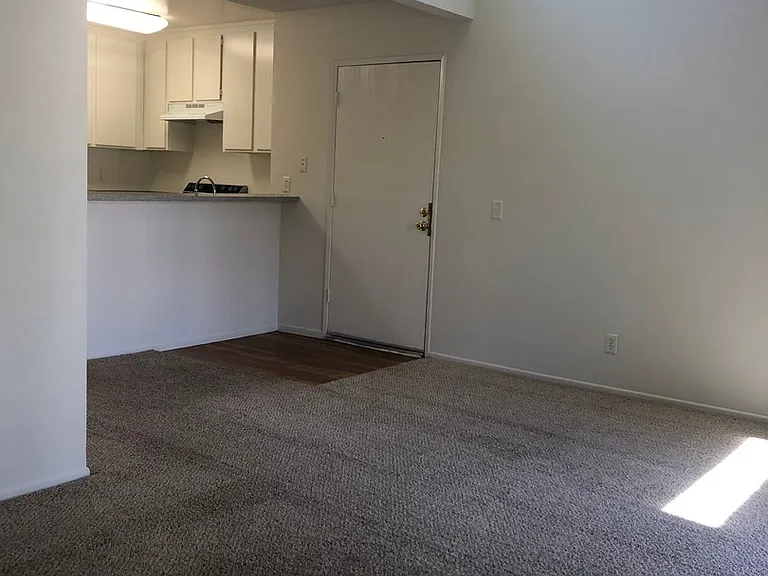 Spring Tree Apartments — Photo 19