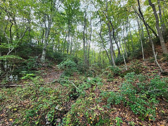 4th image of 0 River Bottom Ln