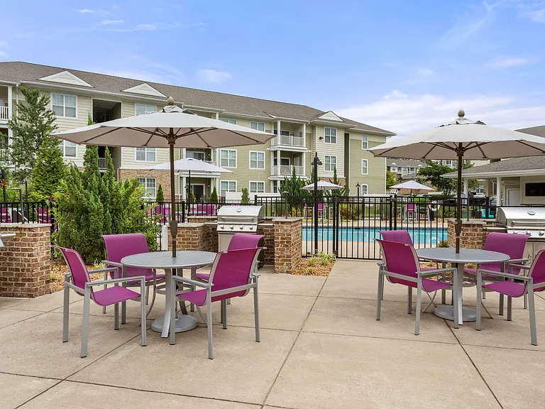 Colony at Centerpointe - Grilling Area