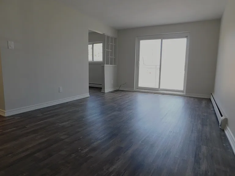 716 Downie St — Photo 5