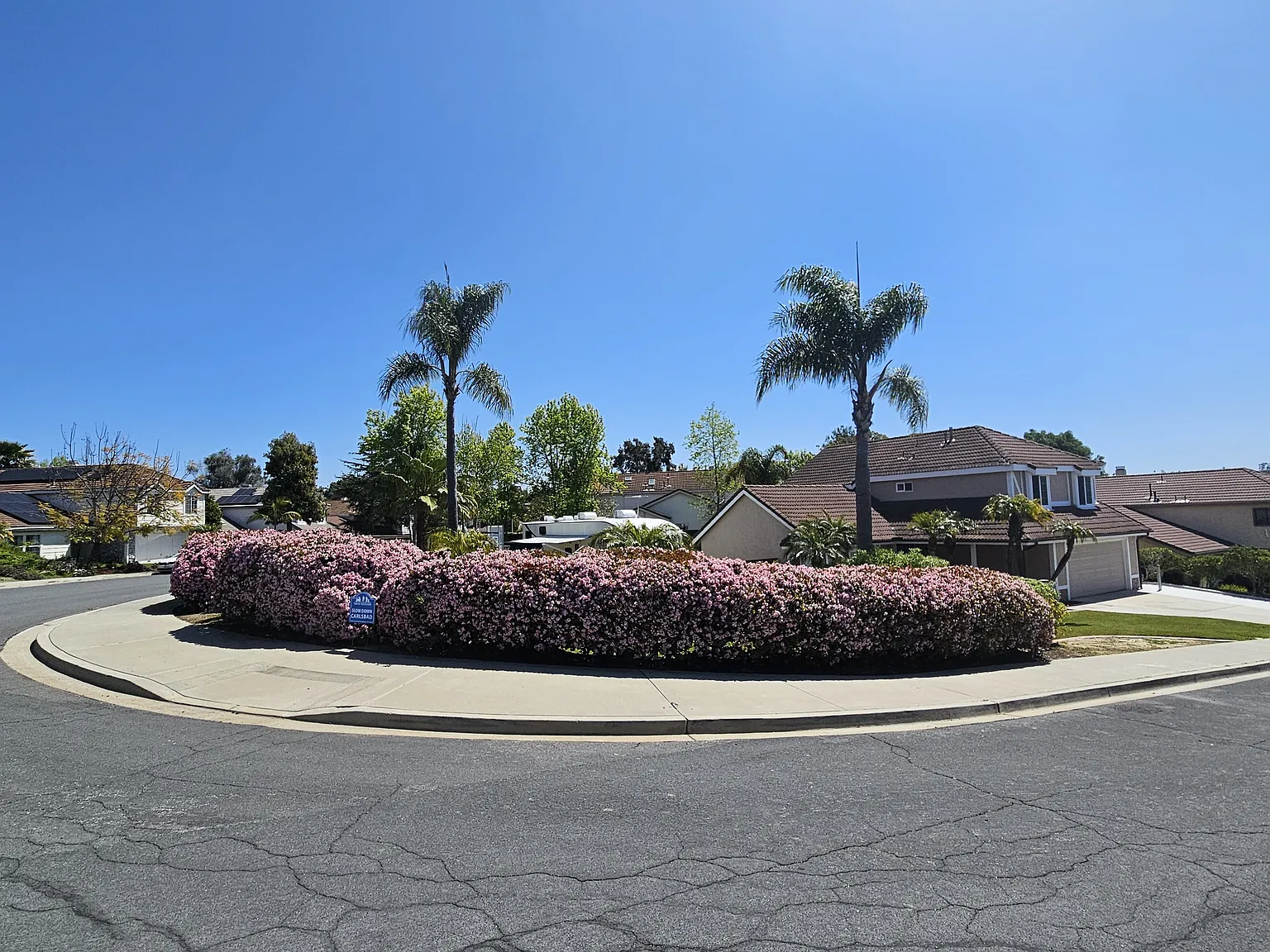 7252 Mimosa Dr — Photo 2