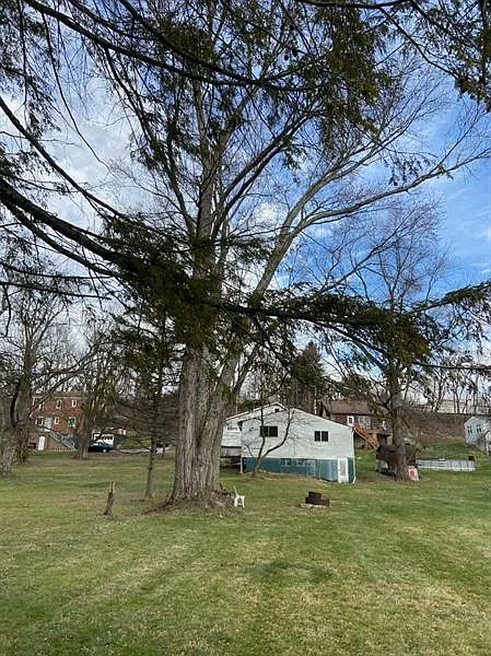 6129 State Route 88 #REAR HOUSE