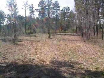 2nd image of 67 Vern Cora Rd