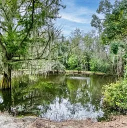 4526 Jones Rd — Photo 35