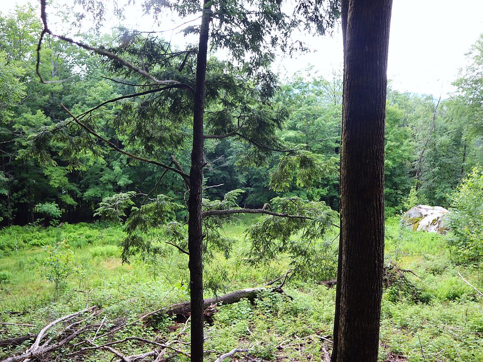 0 E Schroon River Rd LOT WP001, Diamond Pt, NY 12824 Zillow