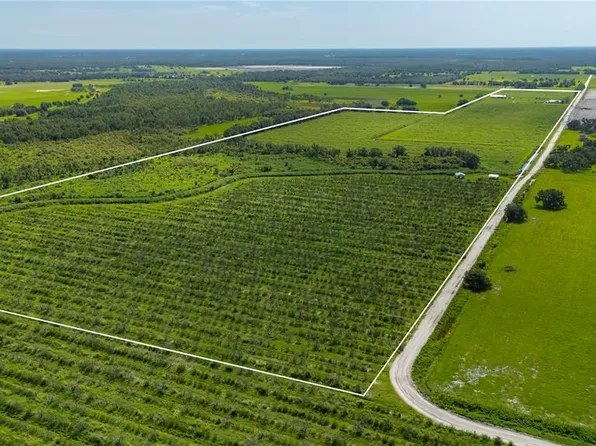 9480 Gough Rd, Ona, FL 33865