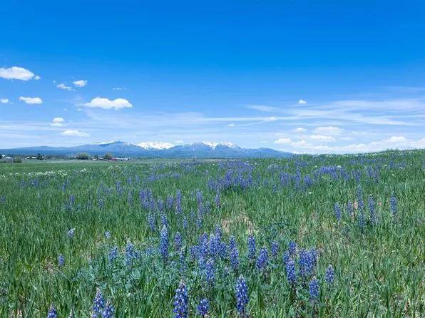 TBD County Road 141, Hesperus, CO 81326